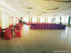 机构由臻俐康医疗义务公司全资运营